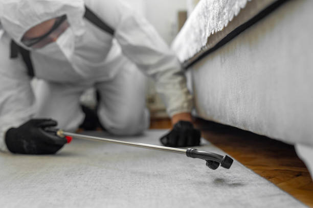 Professional Bed Bug Control technician working in Jarrell, TX