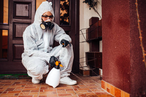 Reliable Bed Bug Control contractor in Jarrell, TX by Nex Pest Control